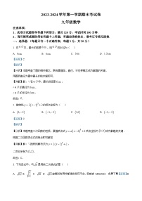 河南省周口市淮阳区淮阳中学2023-2024学年九年级上学期期末数学试题