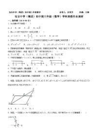 广东省深圳市宝安中学（集团）初中部2023-2024学年八年级下学期开学考数学试题()