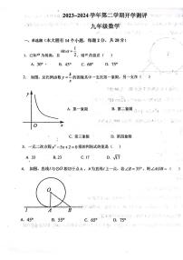 河北省廊坊市育人学校2023—2024学年下学期开学测试九年级数学试题