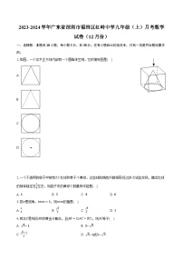 2023-2024学年广东省深圳市福田区红岭中学九年级（上）月考数学试卷（12月份）(含解析）