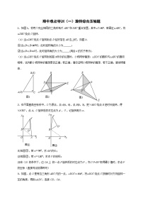 期中难点特训（一）旋转综合压轴题-【微专题】2022-2023学年九年级数学上册常考点微专题提分精练（人教版）