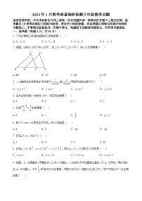 +河南省信阳市潢川县2023-2024学年八年级上学期期末数学试题（原卷+解析）