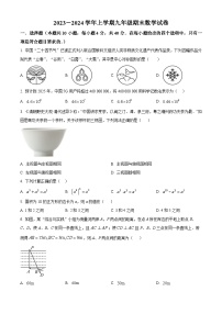 福建省莆田市城厢区莆田哲理中学2023-2024学年九年级上学期期末数学试题（原卷+解析）