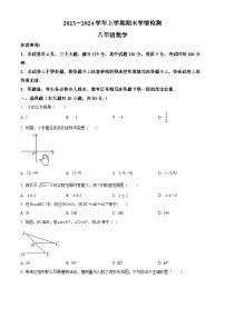 河南省平顶山市郏县2023-2024学年八年级上学期期末数学试题（原卷+解析）