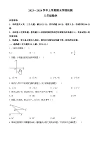 河南省平顶山市郏县2023-2024学年八年级上学期期末数学试题（原卷+解析）