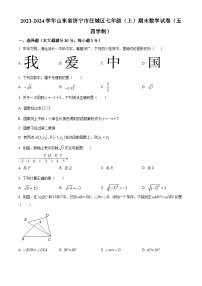 山东省济宁市任城区2023-2024学年七年级上学期期末数学试题（原卷+解析）