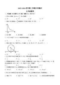 76，河北省廊坊市育人学校2023-2024学年九年级下学期开学测试数学试题()