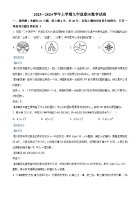 87，福建省莆田市城厢区莆田哲理中学2023-2024学年九年级上学期期末数学试题