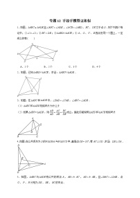 专题12 手拉手模型证相似-【微专题】2022-2023学年九年级数学下册常考点微专题提分精练（人教版）