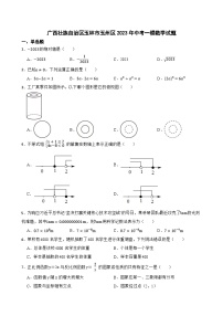 广西壮族自治区玉林市玉州区2023年中考一模数学试题