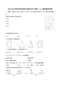 2022-2023学年河北省邢台市经开区七年级（上）期末数学试卷(含解析）