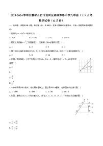 2023-2024学年安徽省合肥市包河区滨湖寿春中学九年级（上）月考数学试卷（12月份）(含解析）