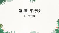 初中浙教版1.1平行线说课课件ppt
