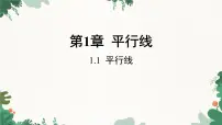 初中浙教版1.1平行线说课课件ppt