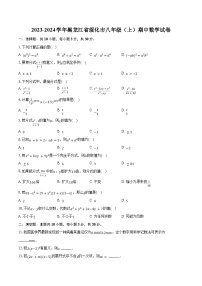 2023-2024学年黑龙江省绥化市八年级（上）期中数学试卷（含解析）