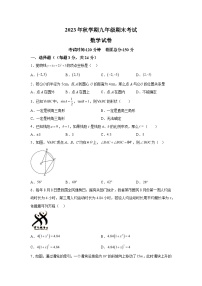 江苏省盐城市亭湖区盐城景山中学2023-2024学年九年级上学期期末数学试题(含解析)