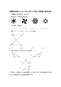 新疆维吾尔自治区和田地区2023-2024学年八年级上学期期末数学试题(含解析)