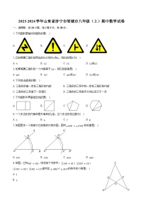 2023-2024学年山东省济宁市邹城市八年级（上）期中数学试卷（含解析）