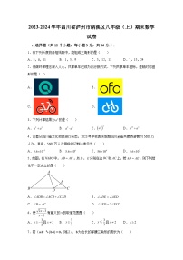 四川省泸州市纳溪区2023-2024学年八年级上学期期末数学试题(含解析)