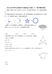 2023-2024学年山东省济宁市泗水县八年级（上）期中数学试卷（含解析）