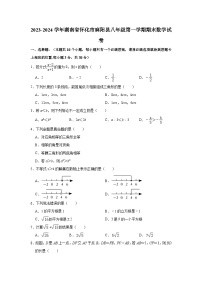 2023-2024学年湖南省怀化市麻阳县八年级（上）期末数学试卷（含解析）