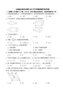 云南省玉溪市红塔区2023年中考模拟数学考试试卷