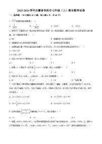 安徽省阜阳市2023-2024学年七年级上学期期末数学试题（原卷+解析）