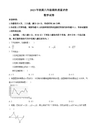 河南省南阳市淅川县2023-2024学年八年级上学期期末数学试题（原卷+解析）