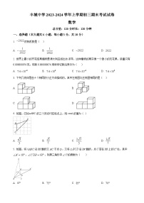 江西省宜春市丰城中学2023-2024学年九年级上学期期末数学试题（原卷+解析）