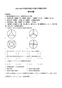 安徽省池州市池州市名校+2023-2024学年九年级下学期开学考试数学试题