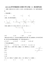 2023-2024学年河南省周口市淮阳中学七年级（上）期末数学试卷（含解析）