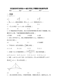 河北省沧州市吴桥县2024届九年级上学期期末测试数学试卷(含答案)