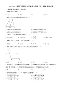 广西壮族自治区河池市天峨县2022-2023学年七年级下学期期末数学试题（原卷版+解析版）