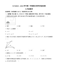 河南省许昌市2023-2024学年九年级上学期期末数学试题（原卷版+解析版）