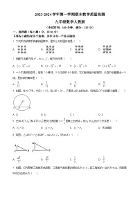 河南省周口市西华县2023-2024学年九年级上学期期末数学试题（原卷版+解析版）