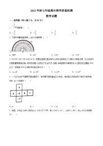 河南省驻马店市上蔡县2023-2024学年七年级上学期期末数学试题（原卷版+解析版）