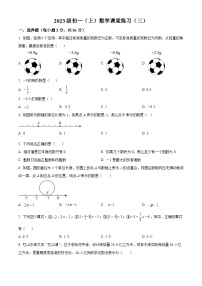 广西壮族自治区南宁市三美学校2023-2024学年七年级上学期9月月考数学试题（原卷+解析）