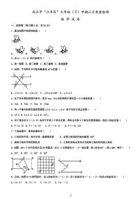 2024武汉市江岸区七年级下三月质量检测数学试卷