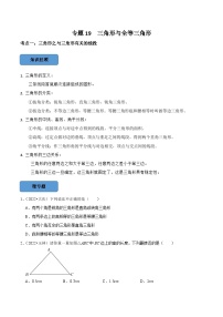 专题19 三角形与全等三角形篇-备考2024年中考数学考点总结+题型专训（全国通用）