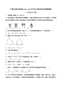 河南省信阳市淮滨县2023-2024学年八年级上学期阶段性学情调研测试数学试卷(含答案)