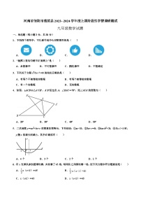 河南省信阳市淮滨县2024届九年级上学期阶段性学情调研测试数学试卷(含答案)