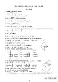 2024武汉市黄陂北片区九年级下二月月考数学试卷