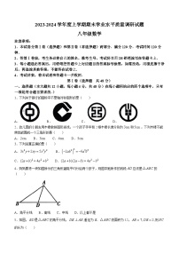 山东省临沂市河东区2023-2024学年八年级上学期期末数学试题