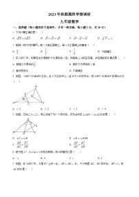 河南省南阳市桐柏县2023-2024学年九年级上学期期末数学试题（原卷版+解析版）