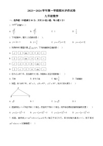 河南省平顶山市宝丰县2023-2024学年九年级上学期期末数学试题（原卷版+解析版）