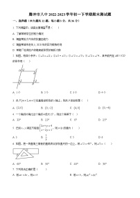 云南省保山市腾冲市第八中学2022-2023学年七年级下学期期末数学试题（原卷版+解析版）