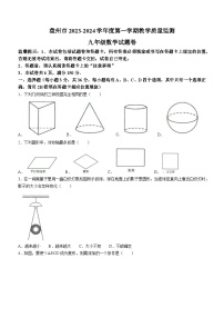 贵州省六盘水市盘州市2023-2024学年九年级上学期期末数学试题