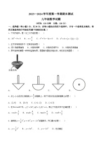 山东省菏泽市东明县2023-2024学年九年级上学期期末数学试题