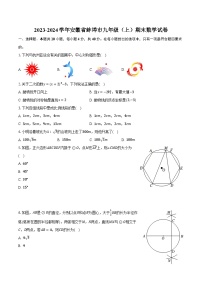 2023-2024学年安徽省蚌埠市九年级（上）期末数学试卷(含解析）