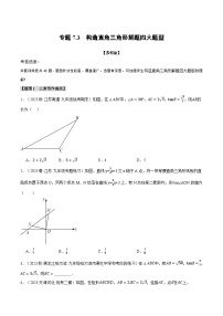 专题7.3 构造直角三角形解题四大题型-2023-2024学年九年级数学下册举一反三系列（苏科版）